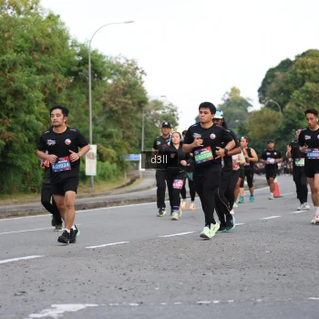 Runner Photo 3814493