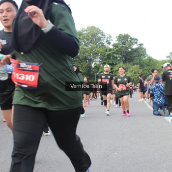 Runner Photo 3815264