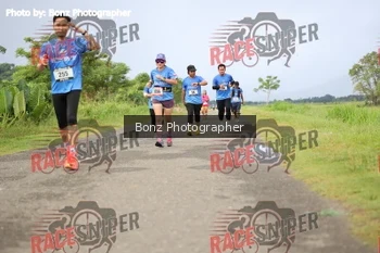 Runner Photo 381707