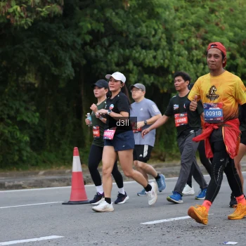 Runner Photo 3821279
