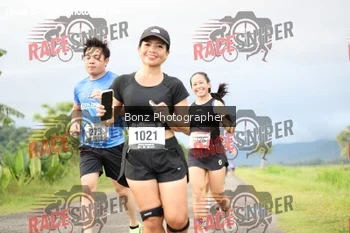 Runner Photo 382356
