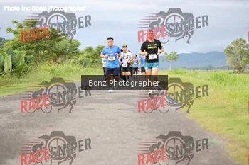 Runner Photo 382528