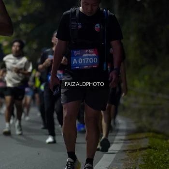 Runner Photo 3825965