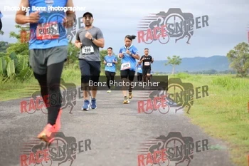 Runner Photo 382632