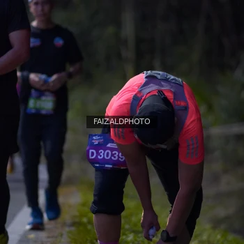 Runner Photo 3827452