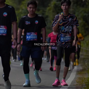 Runner Photo 3827950