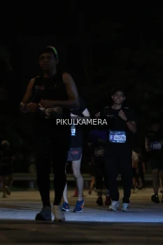 Runner Photo 3828942