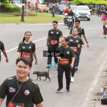 Runner Photo 3831877
