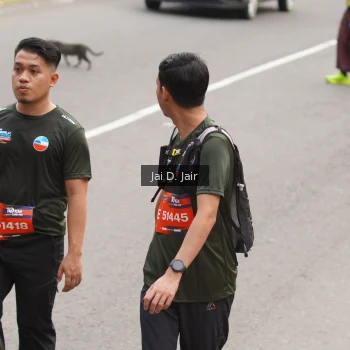 Runner Photo 3832624
