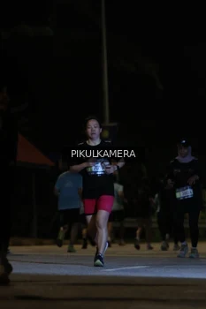 Runner Photo 3836578