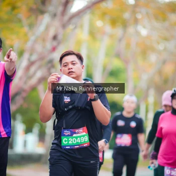 Runner Photo 3837991