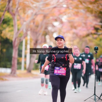 Runner Photo 3838975