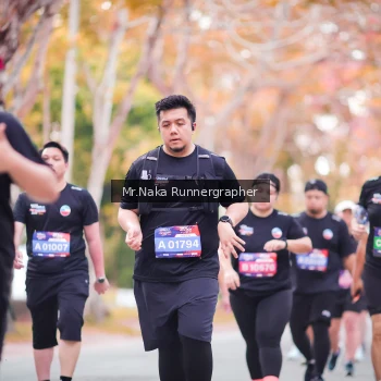 Runner Photo 3839091