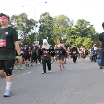 Runner Photo 3839305