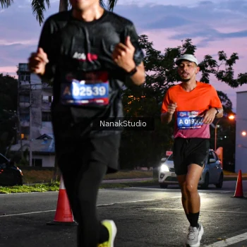 Runner Photo 3844266