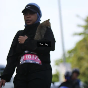 Runner Photo 3847660