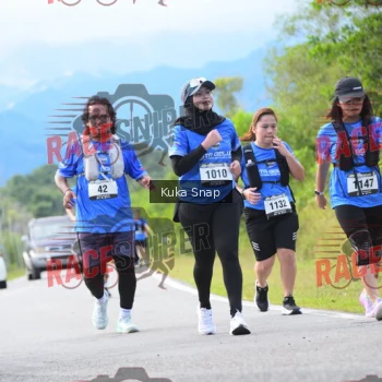 Runner Photo 384787