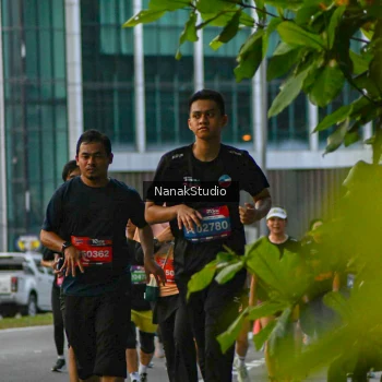 Runner Photo 3849135