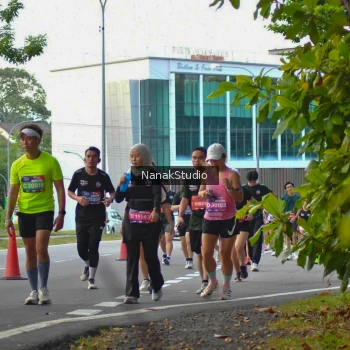 Runner Photo 3849397