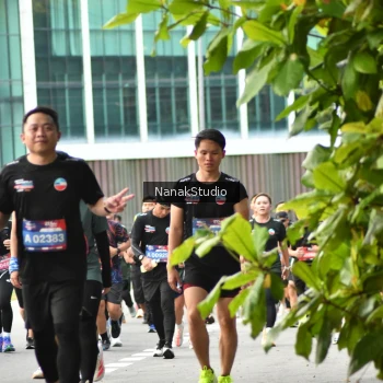 Runner Photo 3849983