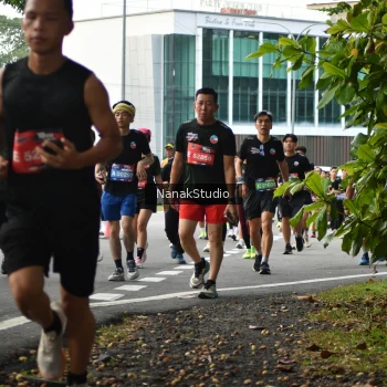 Runner Photo 3850912