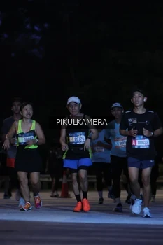 Runner Photo 3855241