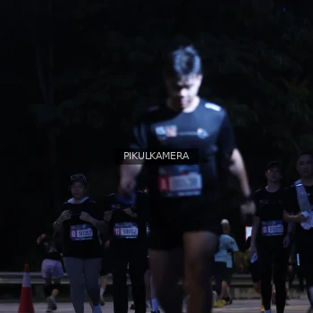 Runner Photo 3856028