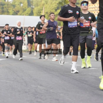 Runner Photo 3856126