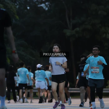 Runner Photo 3857900