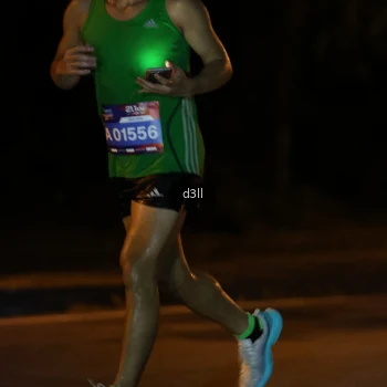 Runner Photo 3859421