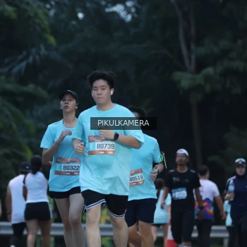 Runner Photo 3859545