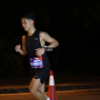 Runner Photo 3860041
