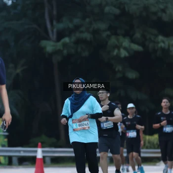 Runner Photo 3860407