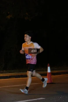 Runner Photo 3860435
