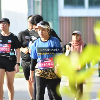 Runner Photo 3861790