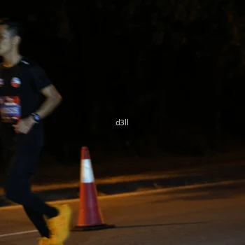 Runner Photo 3865592