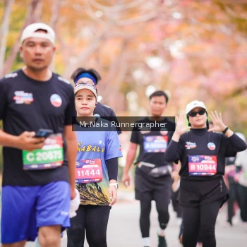 Runner Photo 3870761