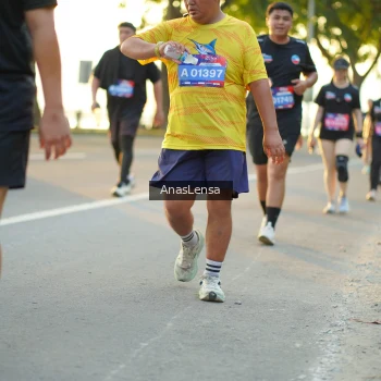 Runner Photo 3875395