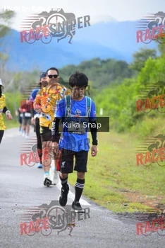Runner Photo 387549