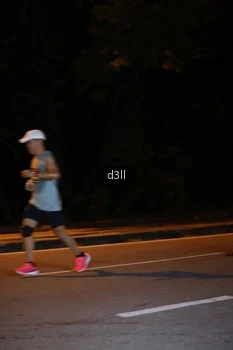 Runner Photo 3877527