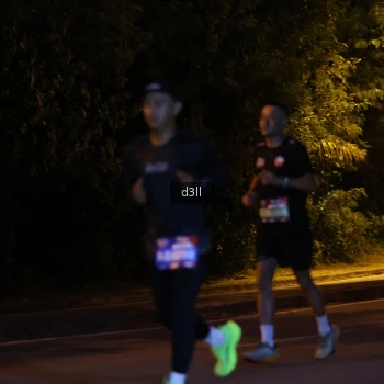 Runner Photo 3878469