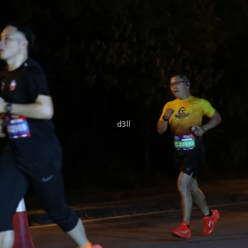 Runner Photo 3878812