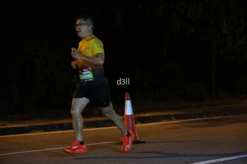 Runner Photo 3878851