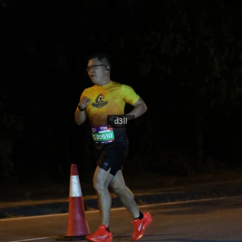 Runner Photo 3878883