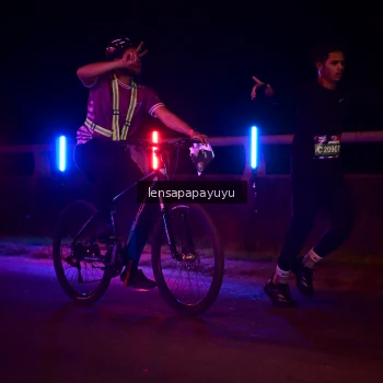 Runner Photo 3880006