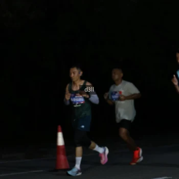 Runner Photo 3883369