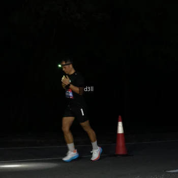Runner Photo 3883478