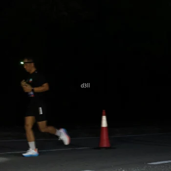 Runner Photo 3883483