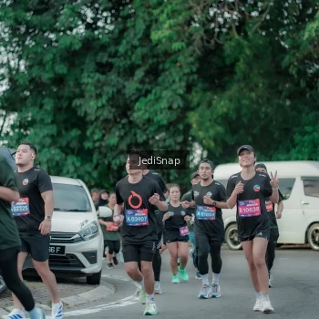 Runner Photo 3885848