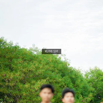 Runner Photo 3886162